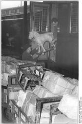Beladen eines Postwagens vor Weihnachten, 1953
