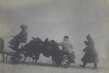 Lungenpest in der Mandschurei - Abtransport von Leichen, 1910/11