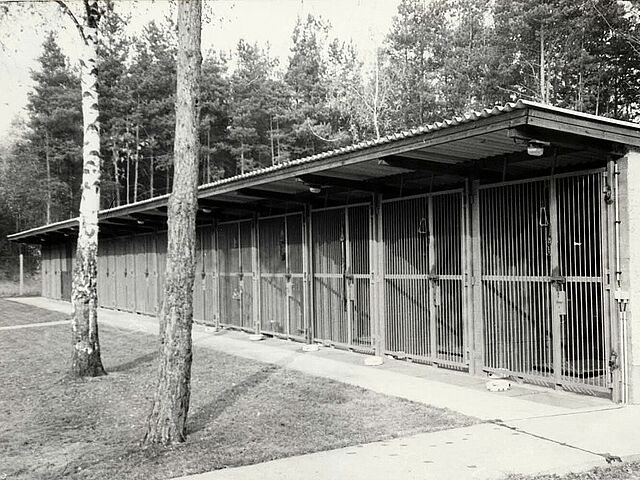 Das Schwarz-Weiß-Bild zeigt eine Reihe von überdachten Hundezwingern. Im Vordergrund stehen zwei Bäume.