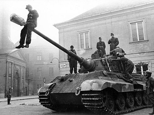 Schwarz-Weiß-Fotografie eines Königstigers mit einem auf dem Rohr sitzenden Soldaten.