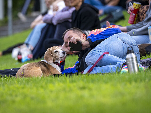 Das Foto zeigt einen auf der Wiese liegenden Besucher mit seinem Beagle.