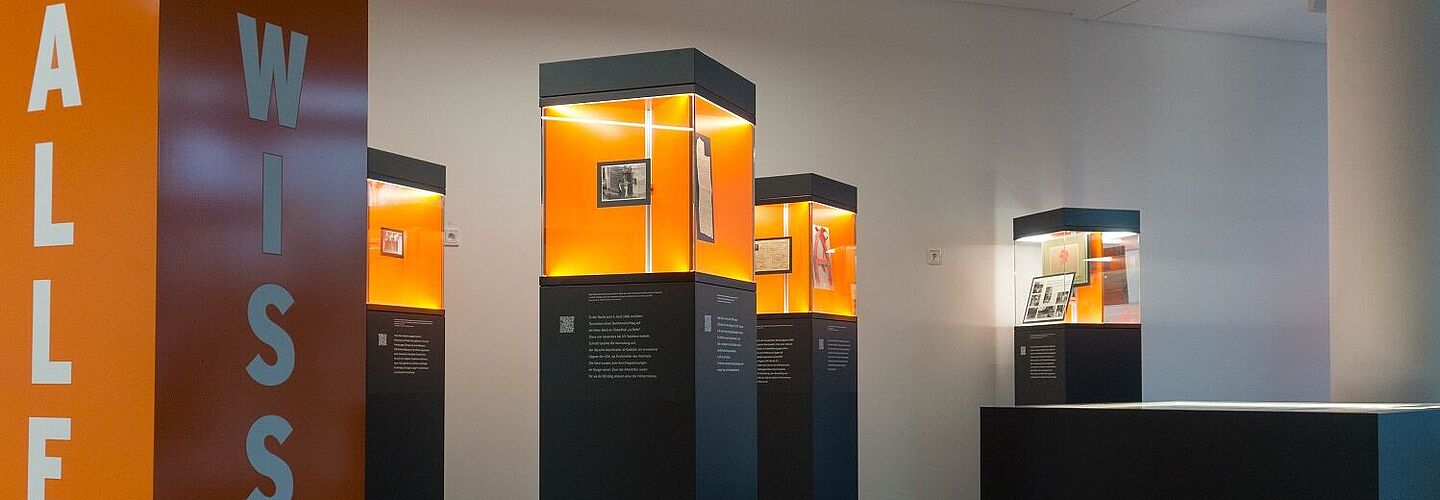 Blick in die Wanderausstellung. Zu sehen sind mehrere Stelen mit Glasvitrinen, in denen sich Dokumente, Fotos und Objekte befinden.