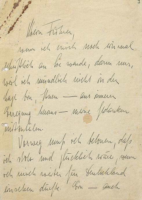 Erste Seite eines 21-seitigen Briefes in Handschrift auf unliniertem Papier