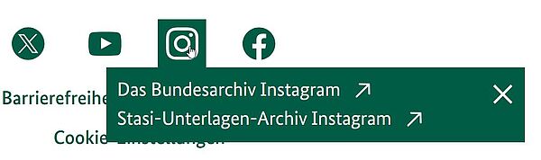 Vier grüne Icons für die Social media-Kanäle X, Youtube, Instagram, Facebook