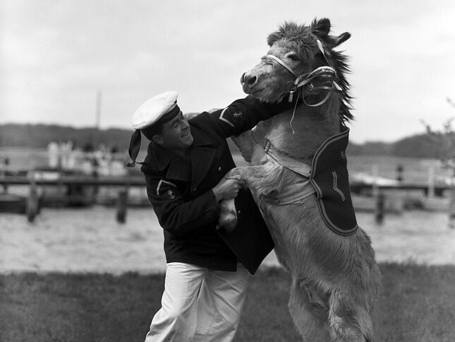Ein Soldat der Marineunteroffiziersschule in Plön präsentiert den Zwergesel Fridoling, das Maskottchen der Schule.