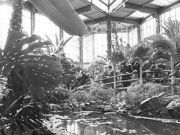 Blick in die Tropenhalle des Alfred-Brehm-Hauses im Tierpark Berlin-Friedrichsfelde.