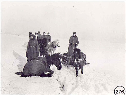 Schlittenkolonne an der Ostfront, die von einigen Panje-Pferden gezogen wird. Eines der Pferde liegt im Schnee.