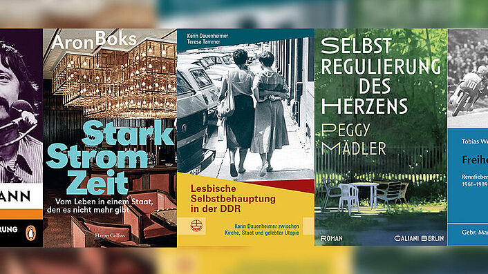 Buchcover der Bücher „Ihr löscht das Feuer mit Benzin“, „Starkstromzeit. Vom Leben in einem Staat, den es nicht mehr gibt“, „Lesbische Selbstbehauptung in der DDR“, „Selbstregulierung des Herzens“, „Freiheit auf der Strecke“
