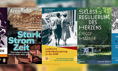 Buchcover der Bücher „Ihr löscht das Feuer mit Benzin“, „Starkstromzeit. Vom Leben in einem Staat, den es nicht mehr gibt“, „Lesbische Selbstbehauptung in der DDR“, „Selbstregulierung des Herzens“, „Freiheit auf der Strecke“