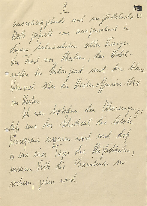 Neunte Seite eines 21-seitigen Briefes in Handschrift auf unliniertem Papier