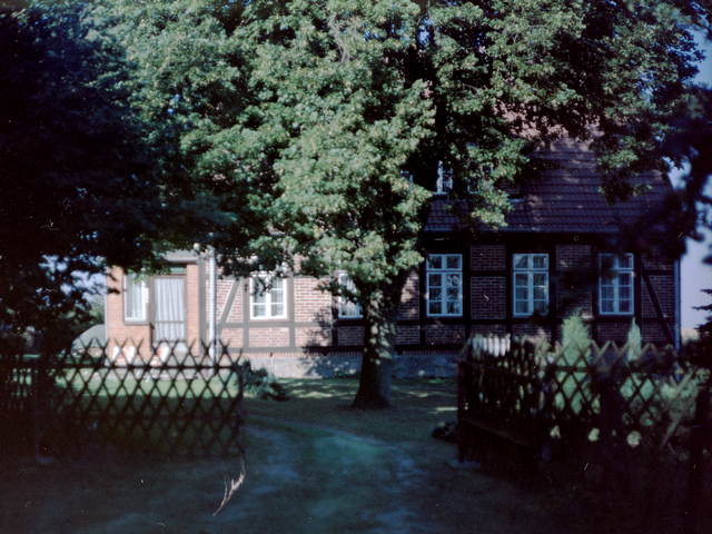 [Frontalaufnahme eines Fachwerkhauses,d as von einem Jägerzaun umgeben ist, als Farbfoto.  In der Bildmitte steht ein großer Laubbaum und verdeckt den überwiegenden Teil des Hauses.]