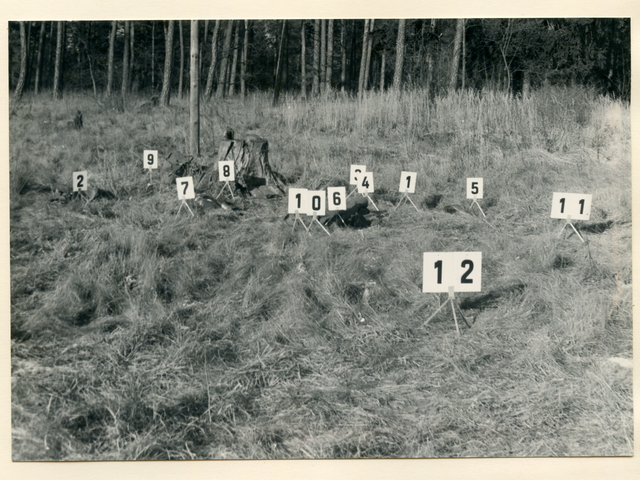 [Das aufgeklebte schwarzweiße Fotopositiv zeigt eine Gräserfläche vor einem Waldrand. An diversen Stellen ist das Gras geplättet, es steht recht mittig ein Baumstumpf auf der Grasfläche. Auf kleinen Metallbeinen sind weiße Zahlenkarten mit schwarzer Aufschrift (1 - 12) aus Makierungszwecken aufgestellt.]