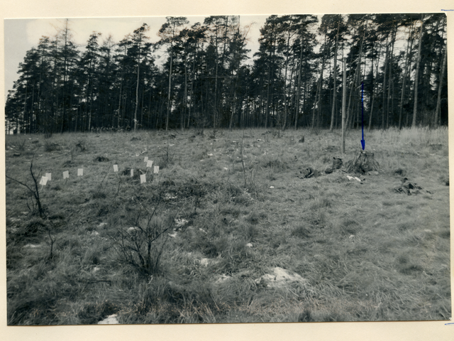 [Das aufgeklebte schwarzweiße Lichtbild zeigt im Hintergrund einen Waldrand. Die Fläche davor ist voller Gräser mit einigen Sträuchern sowie einem Baumstumpf im rechten Bildbereich, der händisch mit einem blauen Pfeil markiert. In der linken Bildhälfte sind die Rückseiten von aufgestellten weißen Zahlkarten zu sehen.]