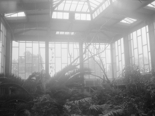 Foto, das die Tropenhalle im Alfred-Brehm-Haus zeigt.