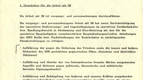"(Vorläufige) Grundsätze für die inhaltliche und methodische Gestaltung der Arbeit mit IM"