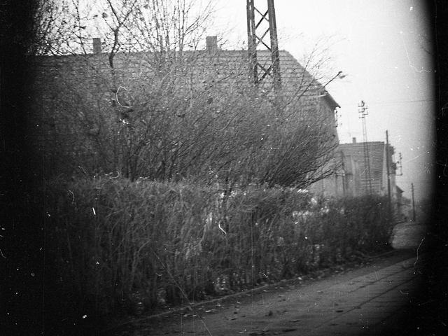 Zu sehen ist aus seitlicher Perspektive ein Gehwegabschnitt sowie ein größeres Wohnhaus, das von einer blätterlosen Hecke verdeckt ist. Das Schwarz-Weiß-Foto wurde vermutlich im Herbst aufgenommen.