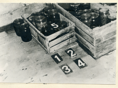 BStU, MfS, HA VII, Nr. 1626, Bl. 27  [Auf dem schwarzweißen Lichtbild sind zwei behelfsmäßige Holzvorratskästen in unterschiedlichen Größen zu sehen. Sie stehen an einer Wand, sind gefüllt mit Einmachgläsern, von denen auch zwei weitere noch daneben stehen. Vor der kürzeren Kiste sind vier schwarze Zahlentafeln (1 - 4) mit weißem Aufdruck. Die Ziffernkarte 5 liegt in der kleinen Aufbewahrungskiste.]  Detailaufnahme vom Keller Die Ziffern 1 - 4 verdeutlichen den Standort von 2 geleerten Erdbeergläsern, 1 geöffnetes Rotwurstglas, 1 Flasche Rotwein, aus der ein Teil des Inhaltes fehlt. Ziffer 5 zeigt die Stelle, an der vor dem Diebstahl die Flasche Rotwein und eine Flasche Sekt abgelegt waren. Ziffer 6 zeigte den Standort der 2 Erdbeergläser vor dem Diebstahl Ziffer 7 kennzeichnet den Standort einer halb entleerten Flasche Most.