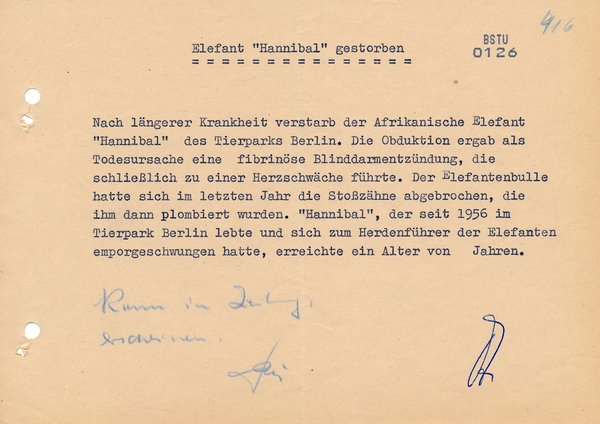 Todesanzeige zu Elefant "Hannibal" mit MfS-Vermerk "Kann in Zeitung erscheinen".